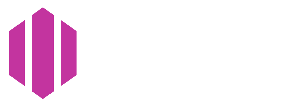 Website Logo